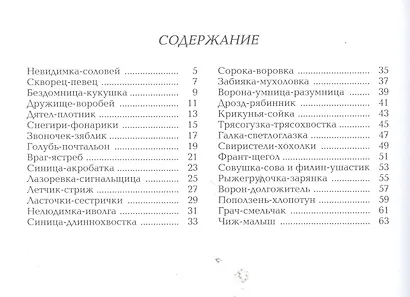 Здравствуйте, птицы - фото 2