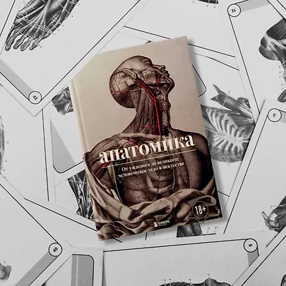 Анатомика. От ужасного до великого: человеческое тело в искусстве - фото 7