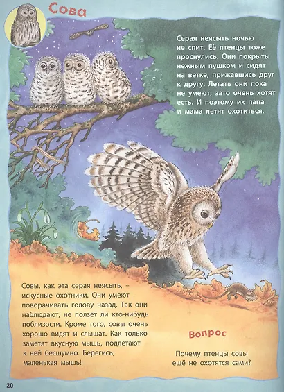 Как живут птицы? Развивающие задания + более 60 наклеек. 4-6 лет - фото 2