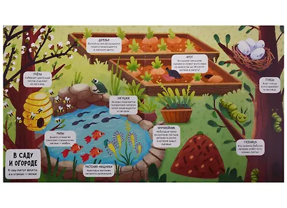 Маленькие исследователи. Как устроен этот мир - фото 3