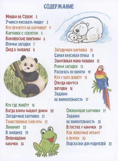 Про наших хвостатых друзей - фото 2