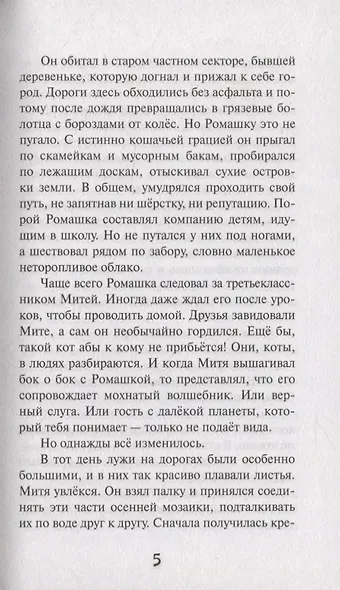 Кошкин город. Бродячии истории - фото 5