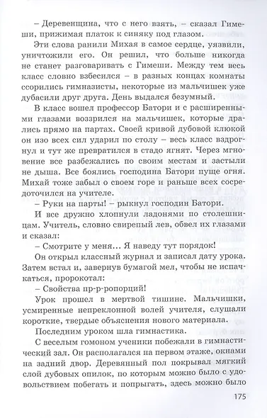 Всегда будь честным. История маленького гимназиста - фото 5