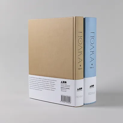 [Тома 3, 4] Полка: О главных книгах русской литературы - фото 3