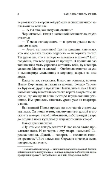 Как закалялась сталь - фото 11