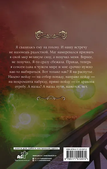 Попаданка (не)легкого поведения - фото 2