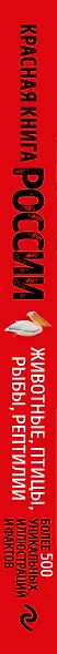 Красная книга России. Большой формат. Более 500 уникальных иллюстраций и фактов (новое издание) (основной) - фото 5