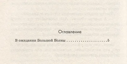 В ожидании Большой волны - фото 3
