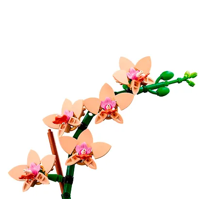 LEGO Botanical Collection: Мини-орхидея, 274 детали (10343) - фото 5