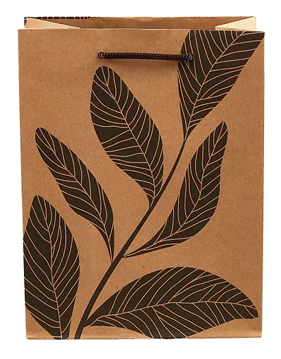 Пакет А5 23*18*10 "Ветка"крафт, женск. - фото 2