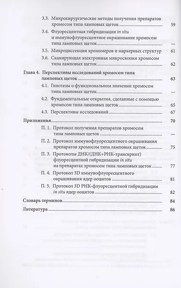 Хромосомы типа ламповых щеток: современные представления и перспективы исследований - фото 3