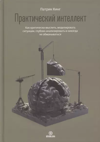 Практический интеллект. Как критически мыслить, моделировать ситуации, глубоко анализировать и никогда не обманываться - фото 1