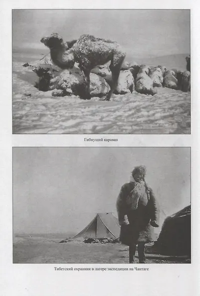 Развенчанный Тибет - фото 3