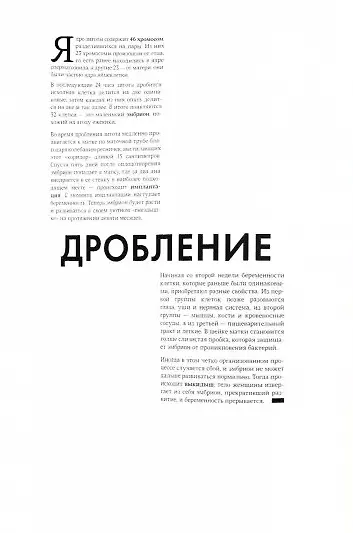 Рождение. Интерактивный атлас с клапанами и резными иллюстрациями - фото 8
