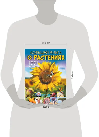 Большая книга о растениях. 1001 фотография - фото 6