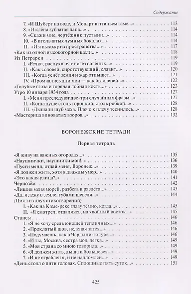 Воронежские тетради - фото 7