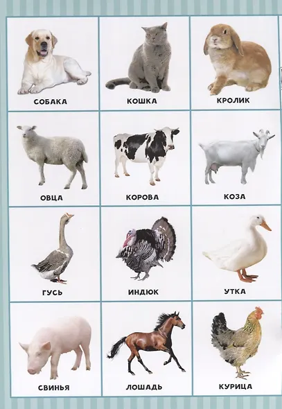 Родители и детки. Разрезные элементы - фото 5