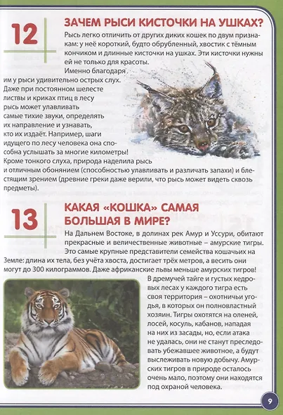 123 вопроса – 123 ответа. Животные России - фото 4