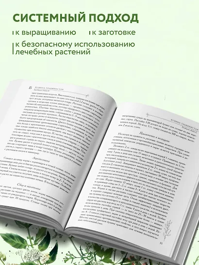 Аптечный огород. Справочник по сбору, хранению и применению целебных растений (новое оформление) - фото 8