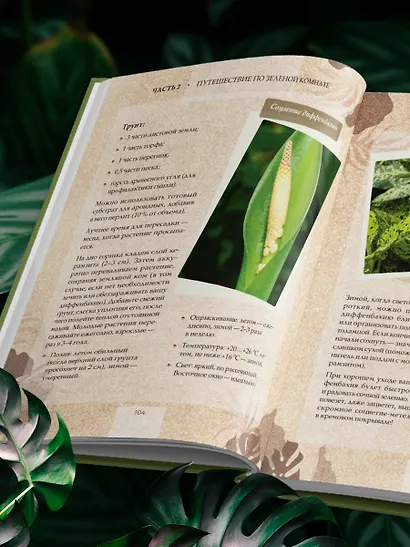 Зеленая комната. Как стать повелителем домашних джунглей - фото 13