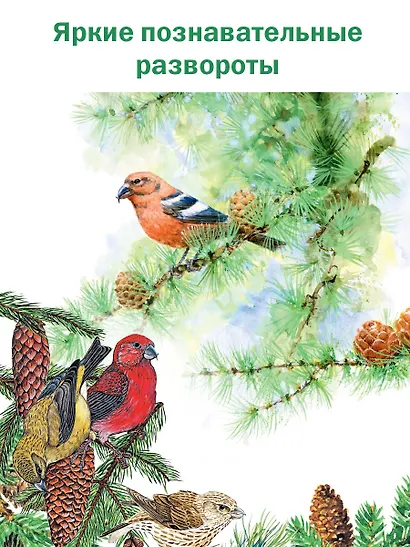 Лесная газета - фото 6