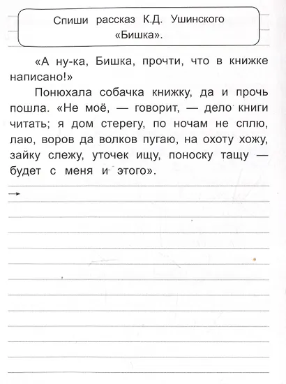 Чистописание Учимся грамотно писать! - фото 4