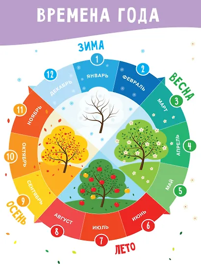 11 больших настенных плакатов для дошколят. Всё что нужно знать - фото 10