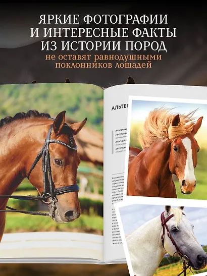 Невероятные лошади. Все о самых грациозных и сильных существах на планете - фото 5