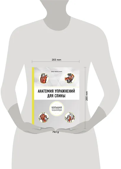 Анатомия упражнений для спины (2-е изд.) - фото 4