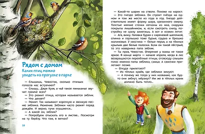 Птицы. Детская энциклопедия (Чевостик) - фото 14
