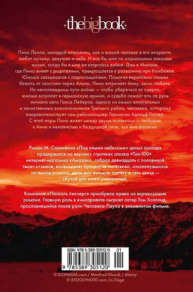 Под алыми небесами - фото 2