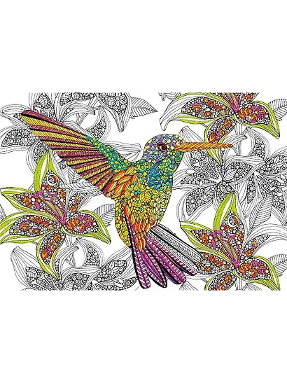 Пазл Educa 300эл 48*34см Колибри пазл-раскраска - фото 2