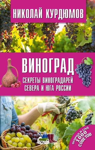 Виноград. Секреты виноградарей севера и юга России - фото 1