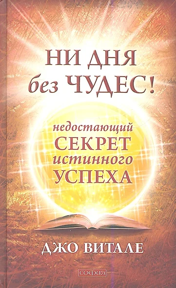 Ни дня без чудес! Недостающий секрет истинного успеха: Простые советы инструктора по чудесам - фото 1