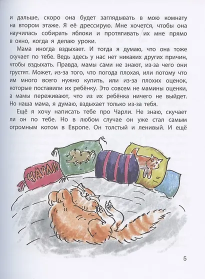 Бутылочная почта для папы - фото 5