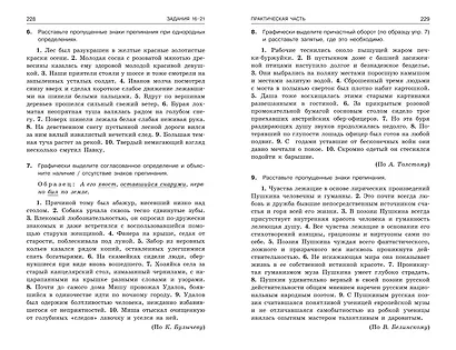 ЕГЭ-2024. Русский язык - фото 10