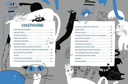 Твои коты - фото 3