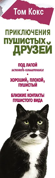 Приключения пушистых друзей (комплект из 3 книг) - фото 4