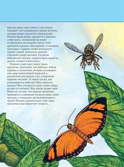 Насекомые. Полная энциклопедия - фото 11