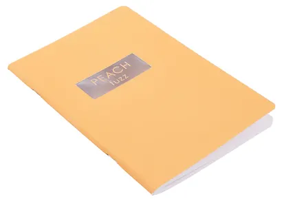 Тетрадь 48л кл. "Peach Fuzz" мел.картон, печ.пантон, ламинация soft touch - фото 2