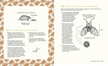 Может ли лошадь решать уравнения? И ещё 320 вопросов о животных - фото 5