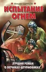 Испытание огнем. Лучший роман о летчиках-штурмовиках - фото 1