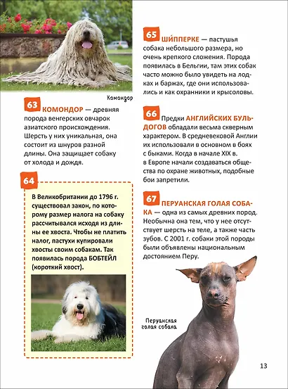 Кошки и собаки. Энциклопедия российского школьника - фото 5