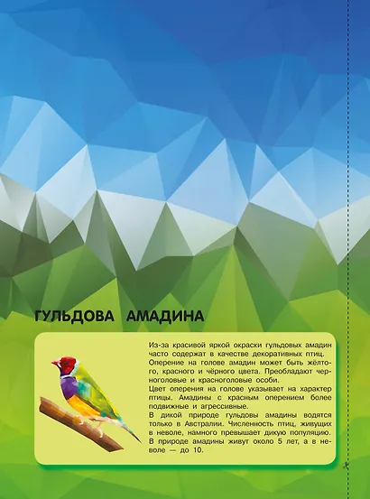 Птицы и подводный мир - фото 7