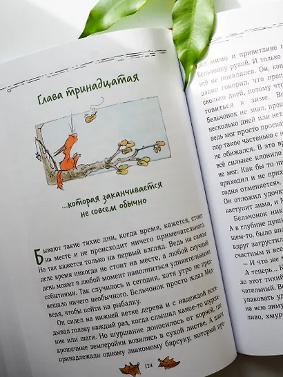 Бельчонок, Медведь и охапка приключений. Повесть - фото 12