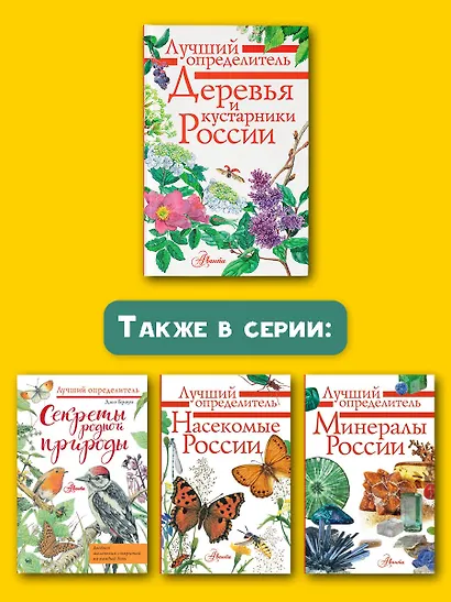 Деревья и кустарники России. Определитель - фото 7