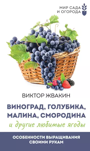 Виноград, голубика, малина, смородина и другие любимые ягоды. Особенности выращивания своими руками - фото 1