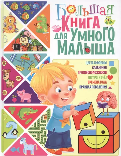 Большая книга для умного малыша - фото 1