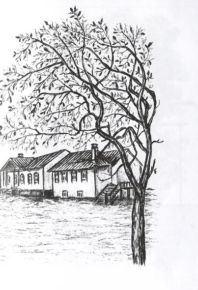 Мила - Ветер в волосах - фото 5