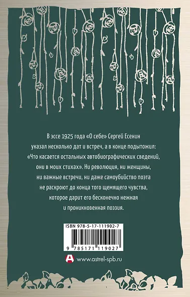 Не жалею, не зову, не плачу. Стихотворения 1910—1925 - фото 2